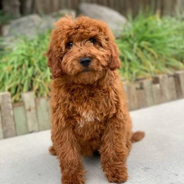 329388144-568028251869280-8075901159437212955-n