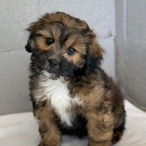 342207941_1623162174810362_981211534689851943_n